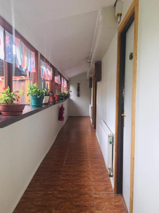 Hospedaje Irma Backpackers Pucón Buitenkant foto