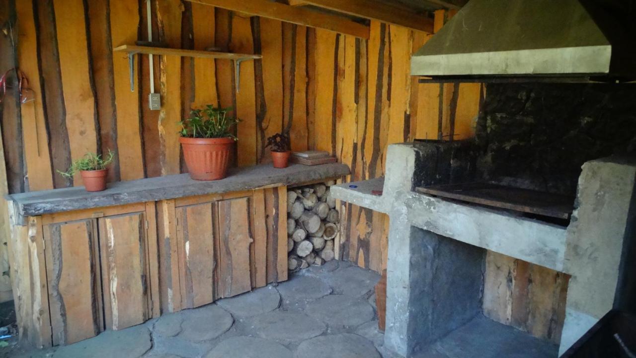 Hospedaje Irma Backpackers Pucón Buitenkant foto